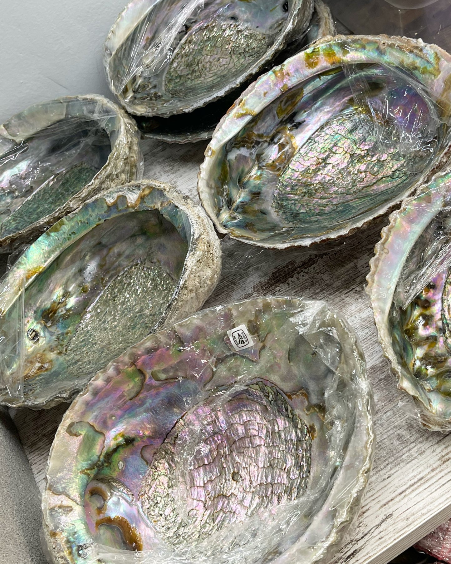 Abalone Shell Smudge Bowls