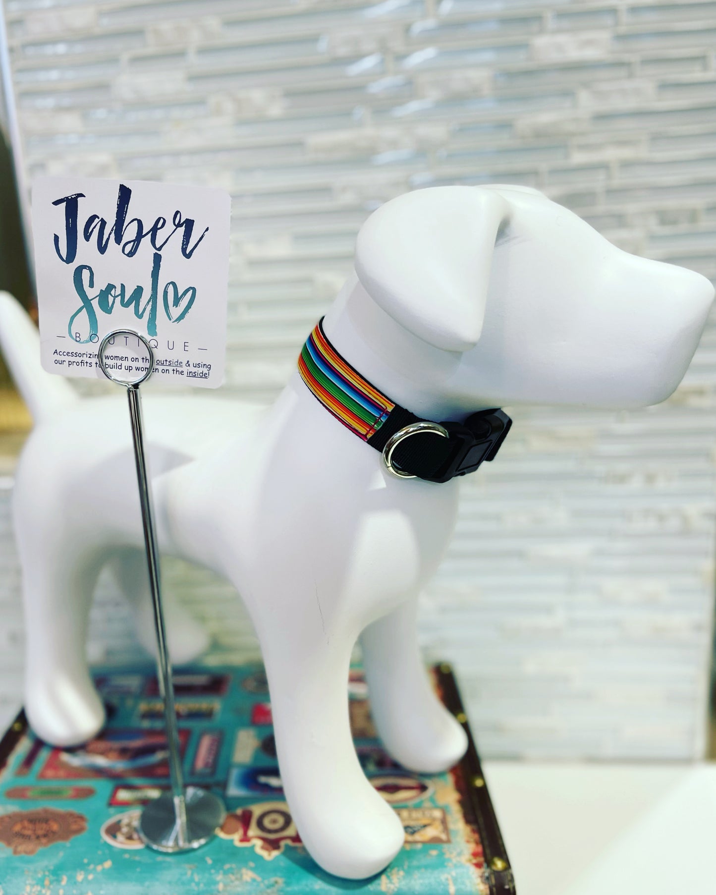 Rainbow Ranch Dog Collar