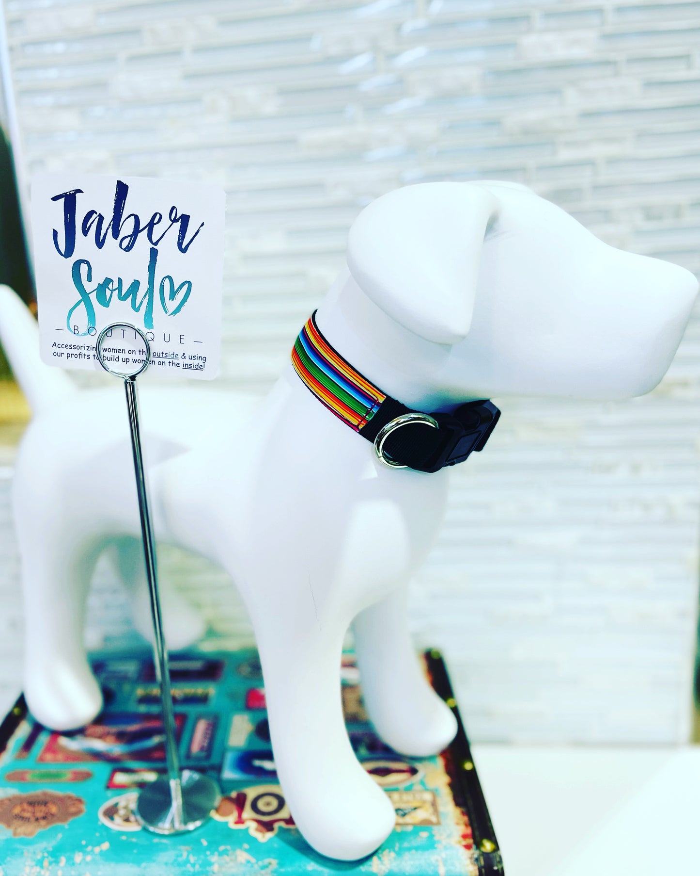 Rainbow Ranch Dog Collar