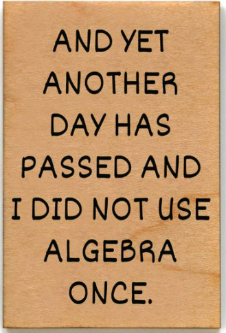 And yet another day has passed and I did not use Algebra once Magnet