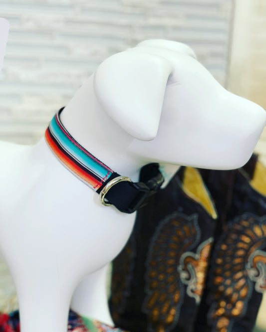 Turquoise Sunset Desert Dog Collar